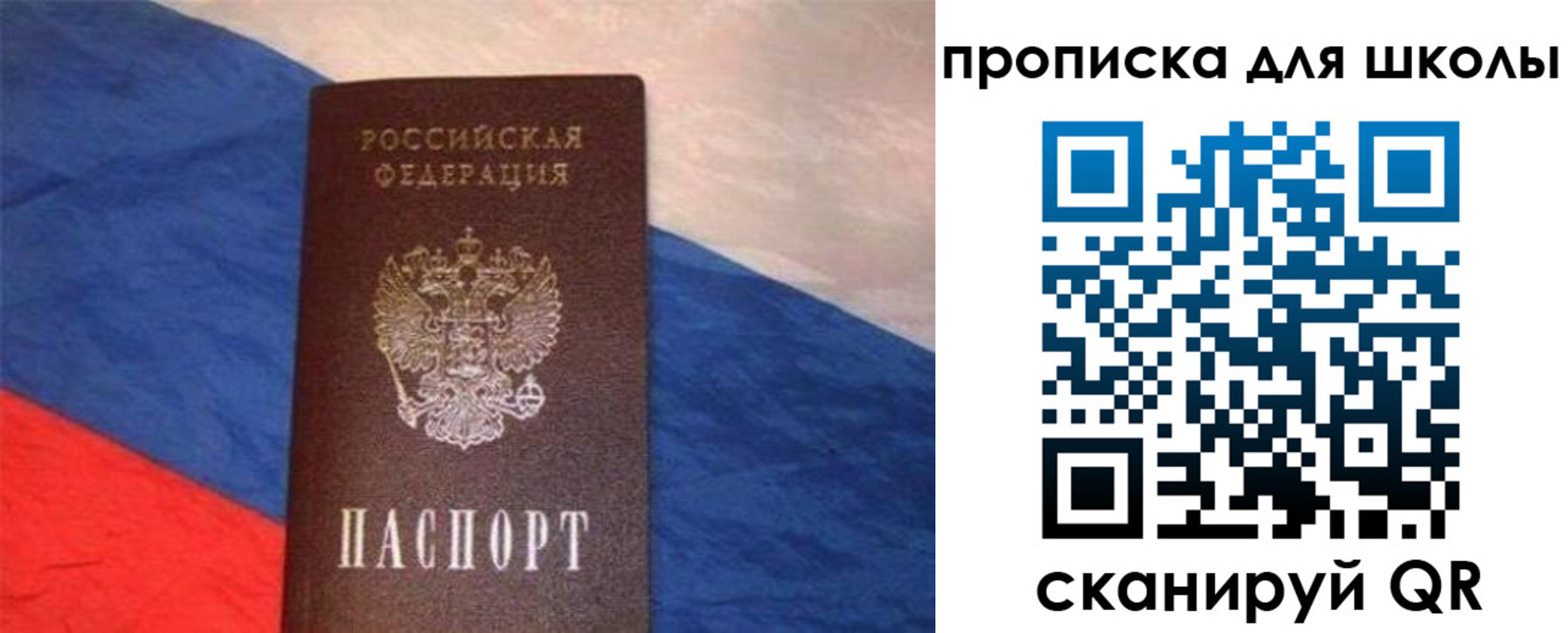 прописка поиск в Сафоново